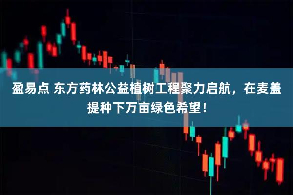盈易点 东方药林公益植树工程聚力启航，在麦盖提种下万亩绿色希望！